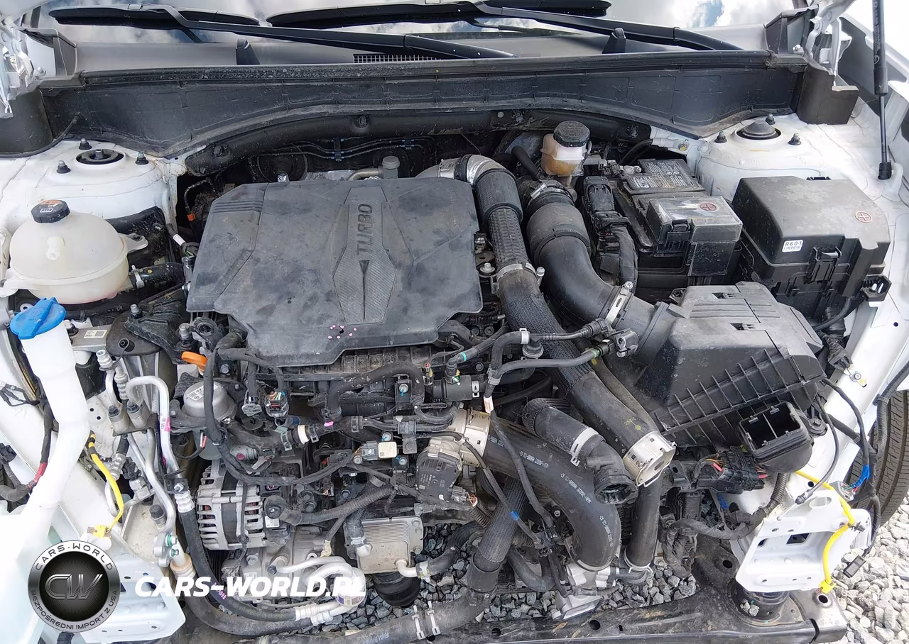 2024 Hyundai Santa Fe Sel VIN:5NMP24GL9RH004559 - 10