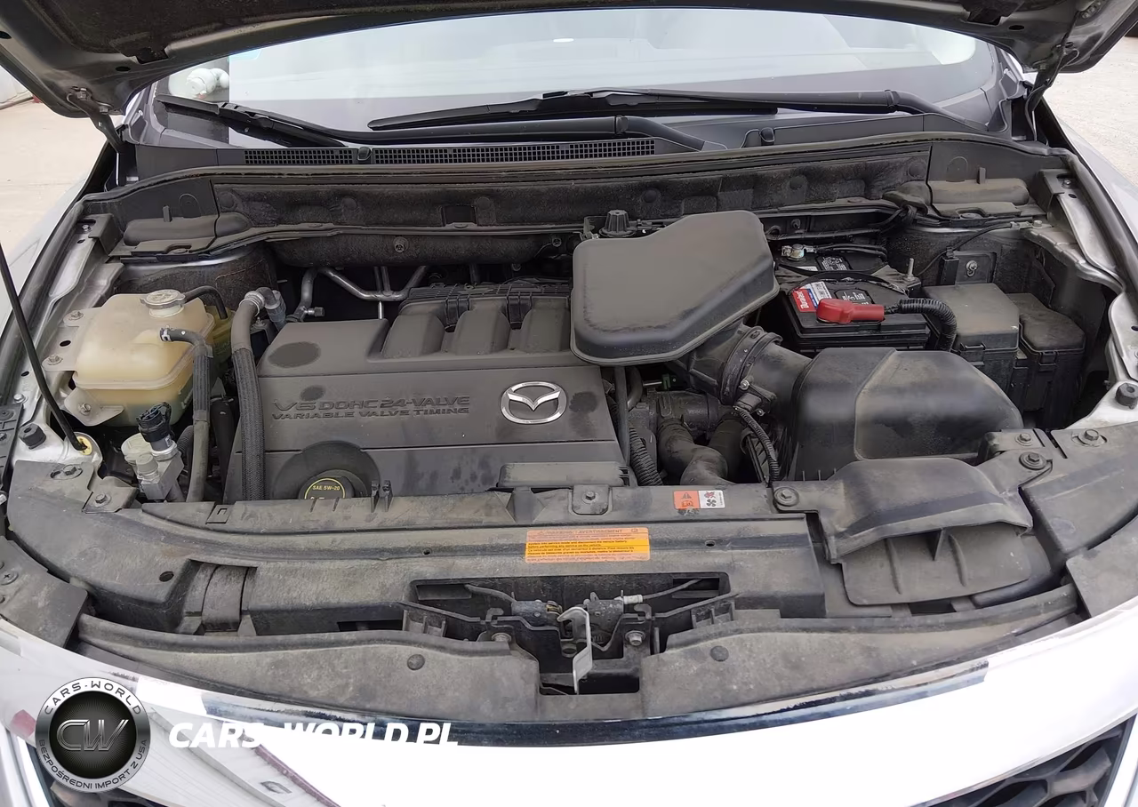 2010 Mazda Cx-9 Grand Touring VIN:JM3TB2MA0A0213187 - 10