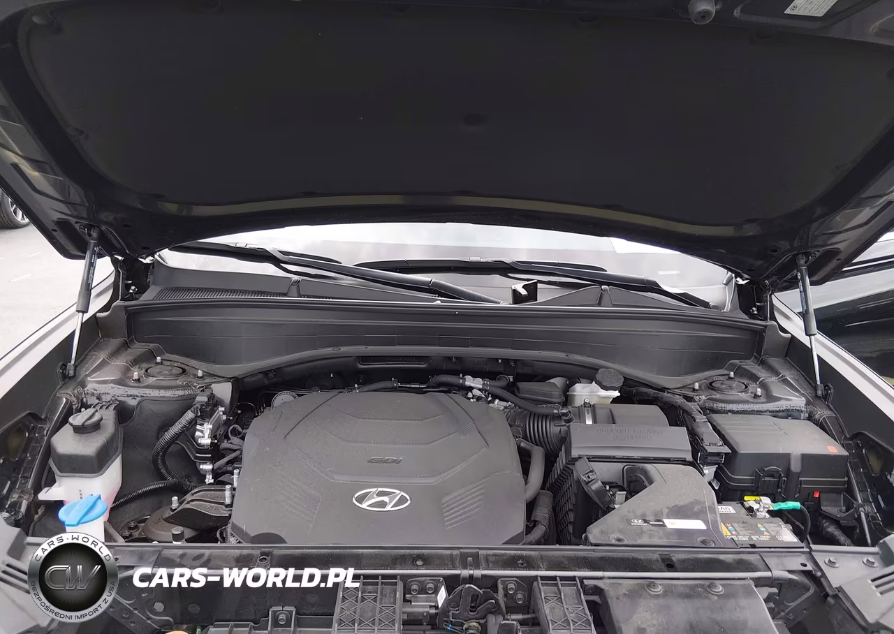 2025 Hyundai Palisade Calligraphy VIN:KM8R74GE1SU846673 - 10
