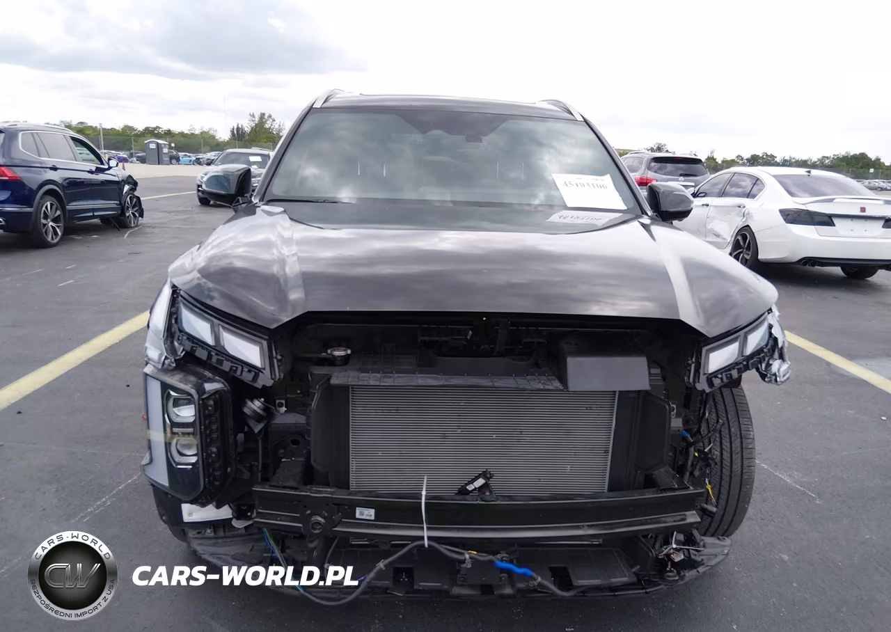 2025 Hyundai Palisade Calligraphy VIN:KM8R74GE1SU846673 - 12