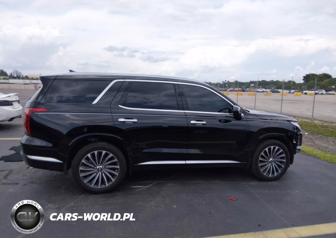 2025 Hyundai Palisade Calligraphy VIN:KM8R74GE1SU846673 - 13