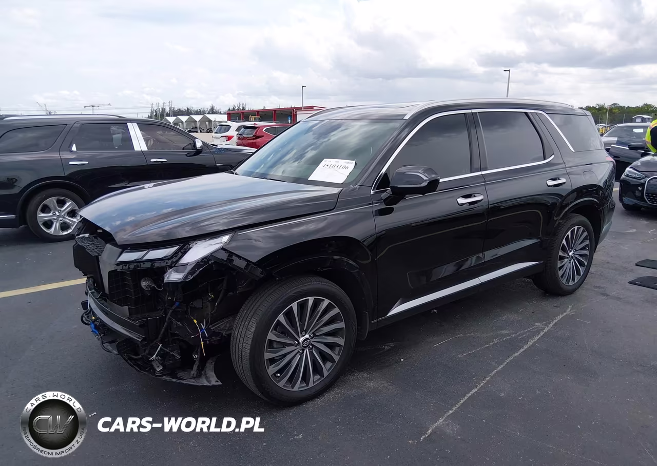 2025 Hyundai Palisade Calligraphy VIN:KM8R74GE1SU846673 - 2