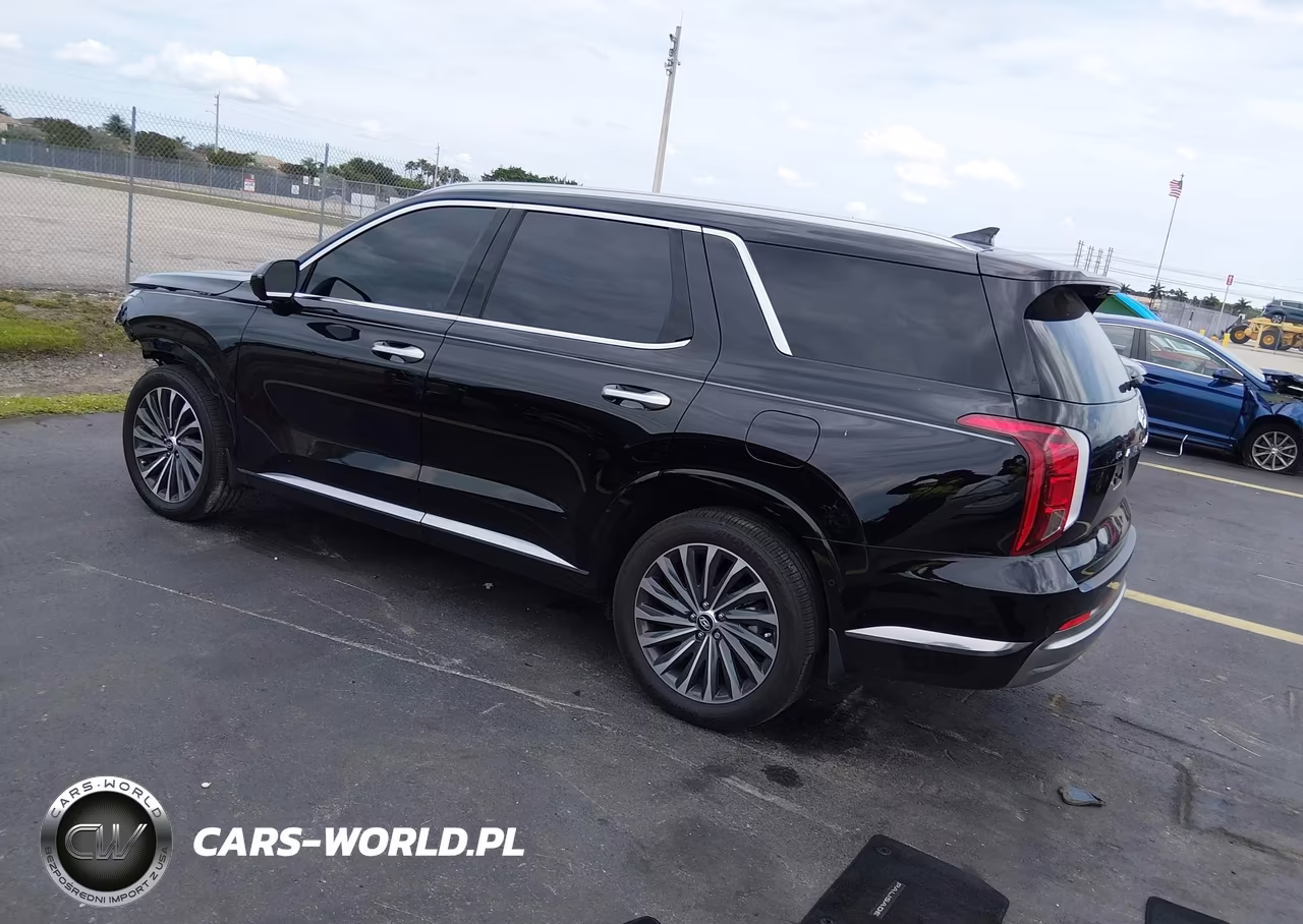 2025 Hyundai Palisade Calligraphy VIN:KM8R74GE1SU846673 - 3