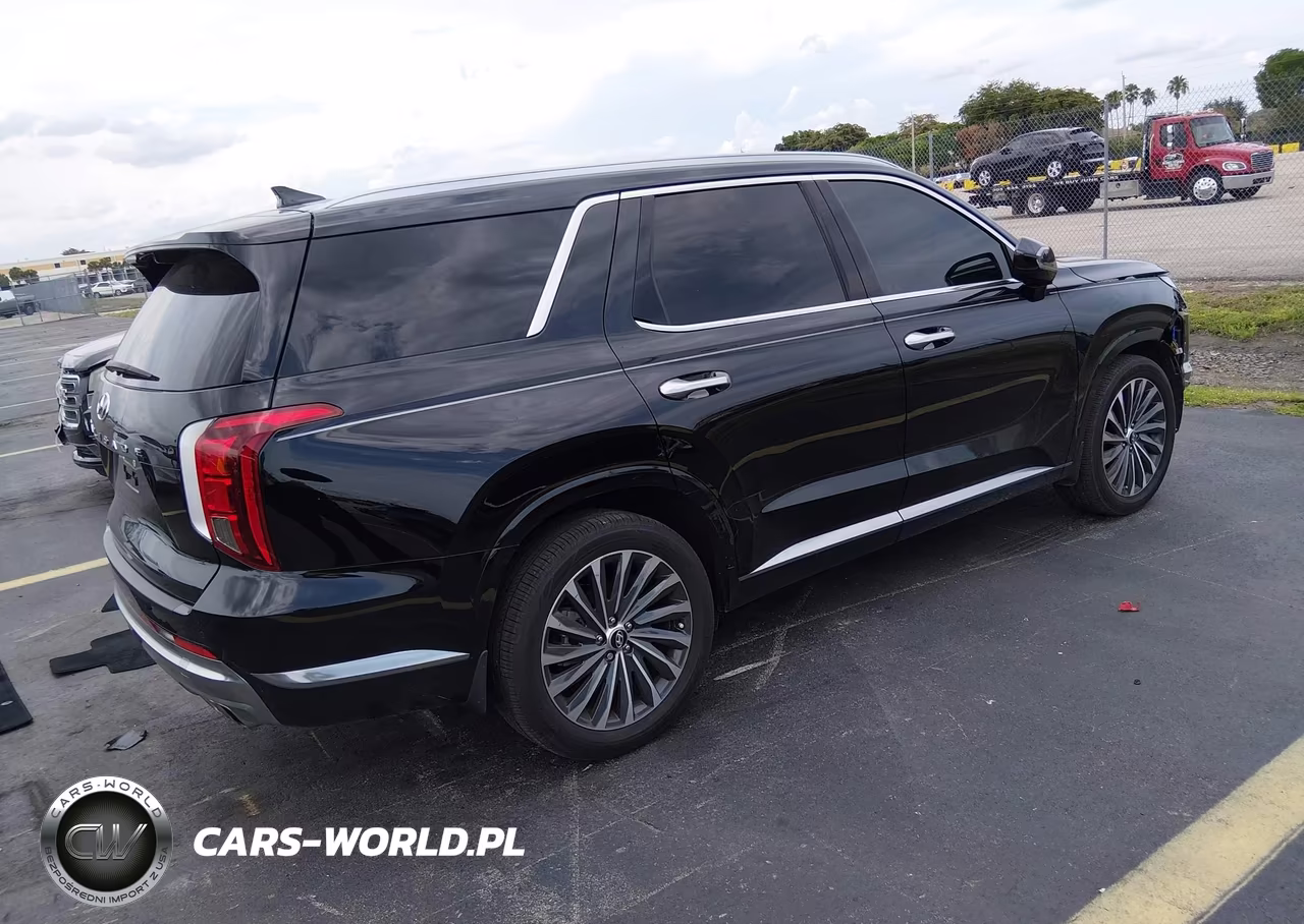 2025 Hyundai Palisade Calligraphy VIN:KM8R74GE1SU846673 - 4