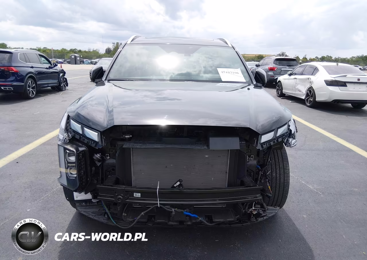 2025 Hyundai Palisade Calligraphy VIN:KM8R74GE1SU846673 - 6