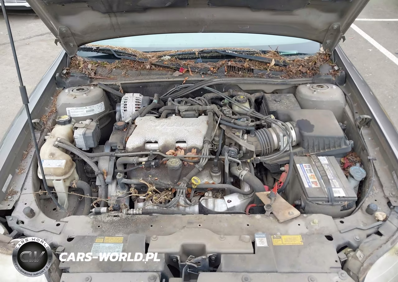 2000 Chevrolet Malibu VIN:1G1ND52J3Y6181951 - 10