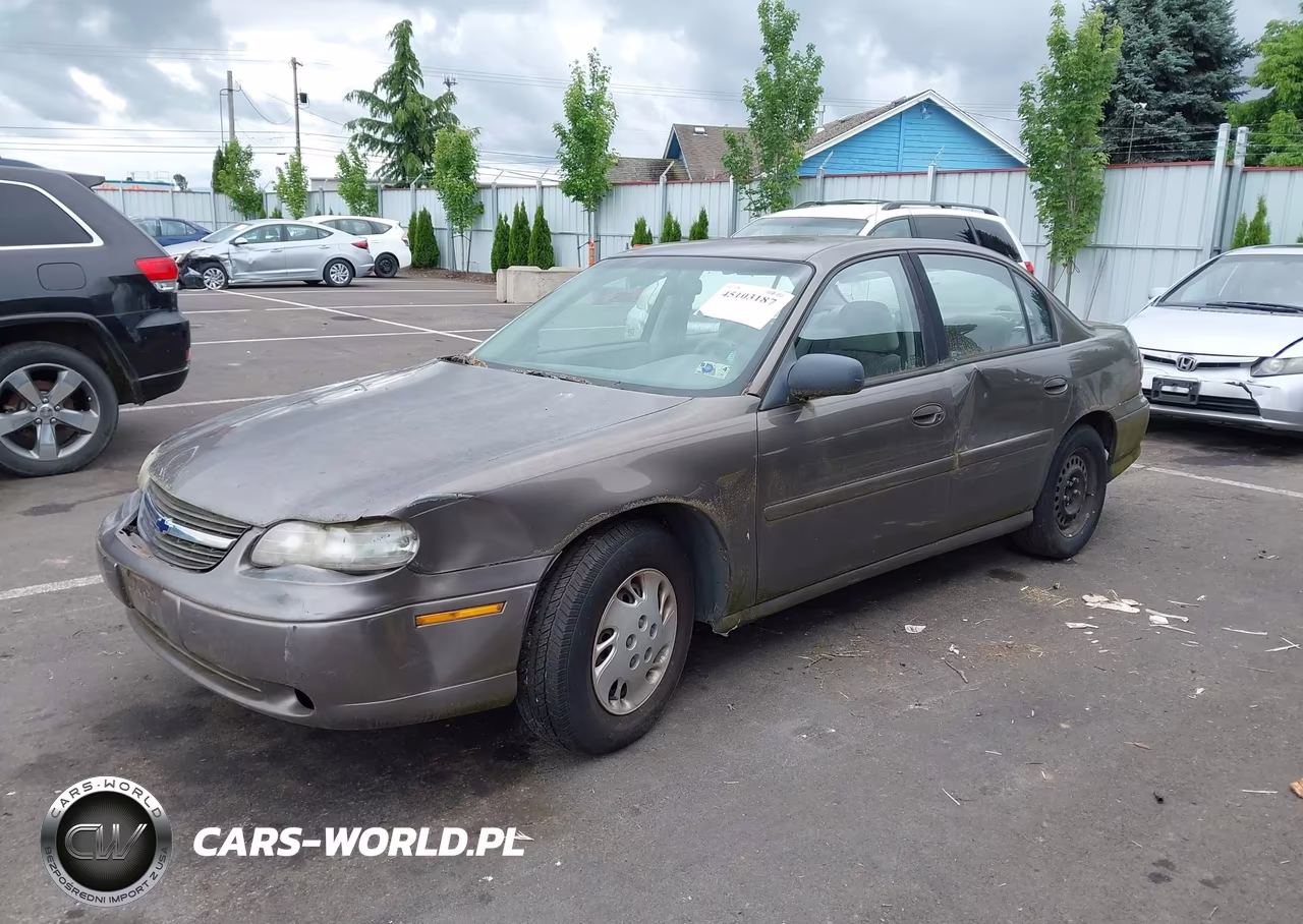 2000 Chevrolet Malibu VIN:1G1ND52J3Y6181951 - 2