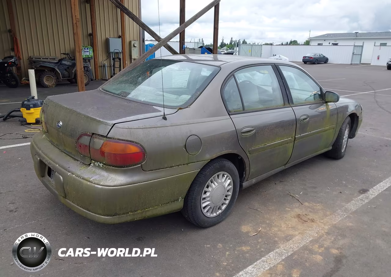 2000 Chevrolet Malibu VIN:1G1ND52J3Y6181951 - 4