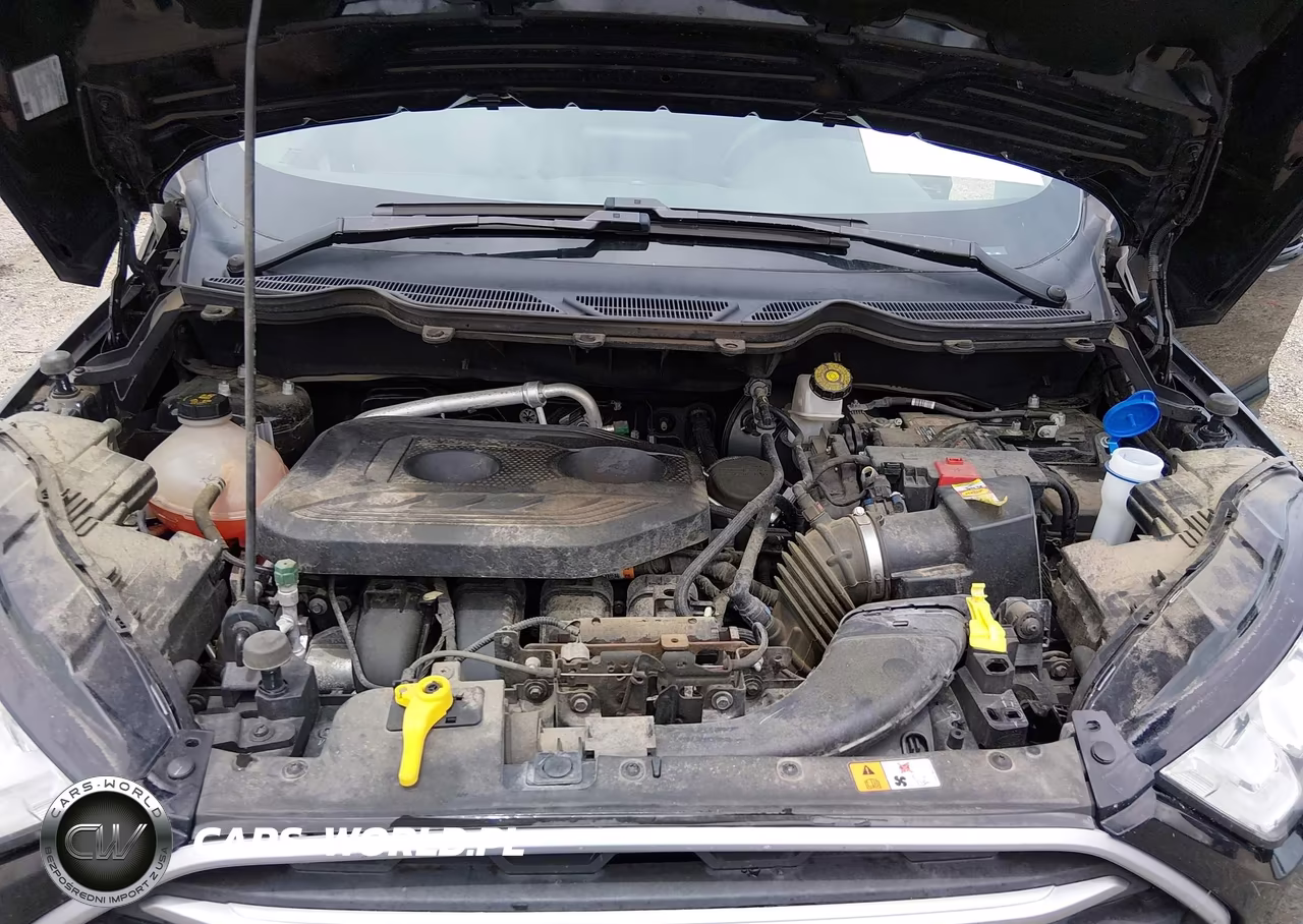 2021 Ford Ecosport Se VIN:MAJ6S3GL4MC409909 - 10