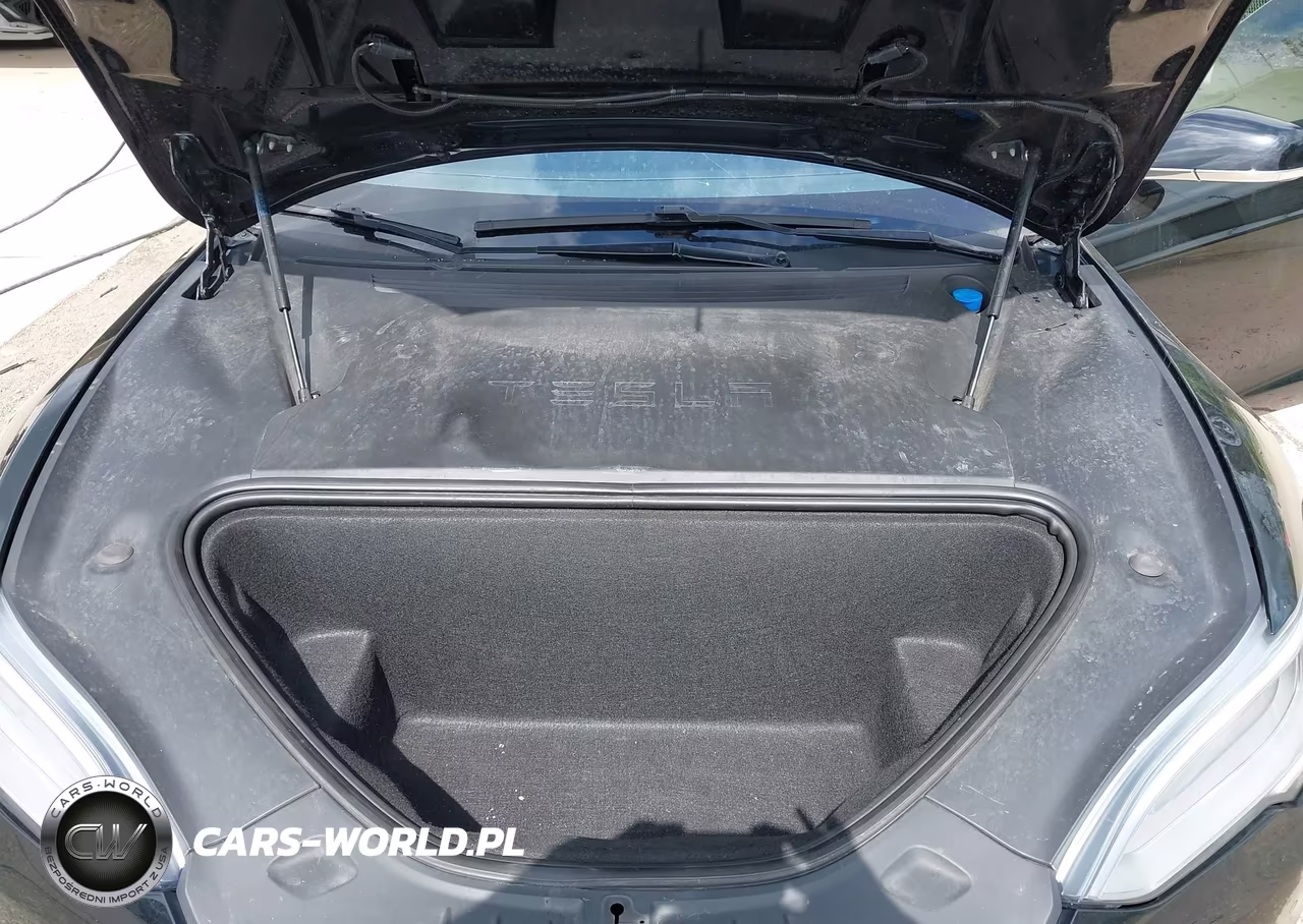 2019 Tesla Model S 100D-75D-Long Range-Standard Range VIN:5YJSA1E20KF333101 - 10