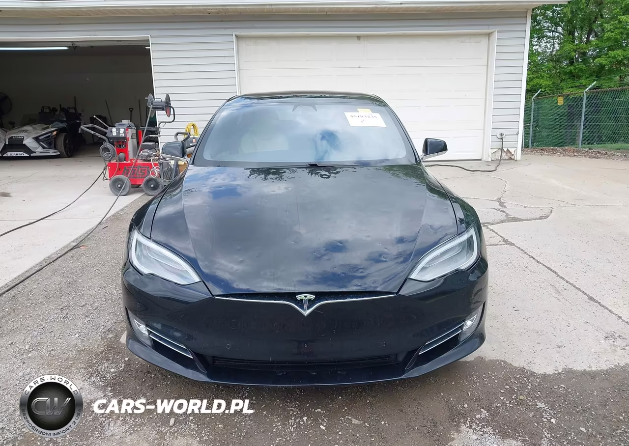 2019 Tesla Model S 100D-75D-Long Range-Standard Range VIN:5YJSA1E20KF333101 - 12