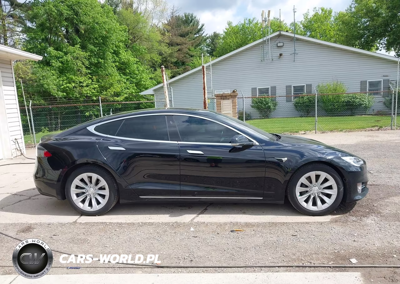 2019 Tesla Model S 100D-75D-Long Range-Standard Range VIN:5YJSA1E20KF333101 - 13