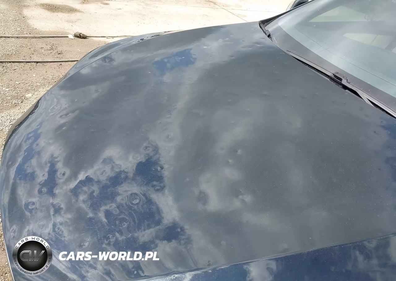 2019 Tesla Model S 100D-75D-Long Range-Standard Range VIN:5YJSA1E20KF333101 - 6