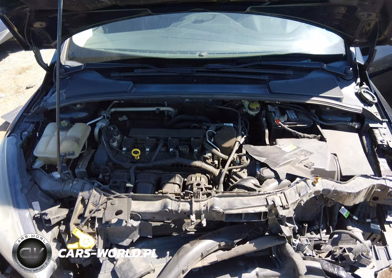 2016 Ford Focus Se VIN:1FADP3F25GL222068 - 10