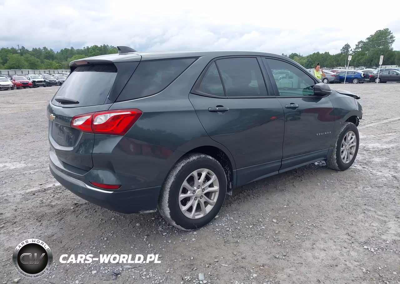 2018 Chevrolet Equinox Ls VIN:3GNAXHEV1JS550294 - 4