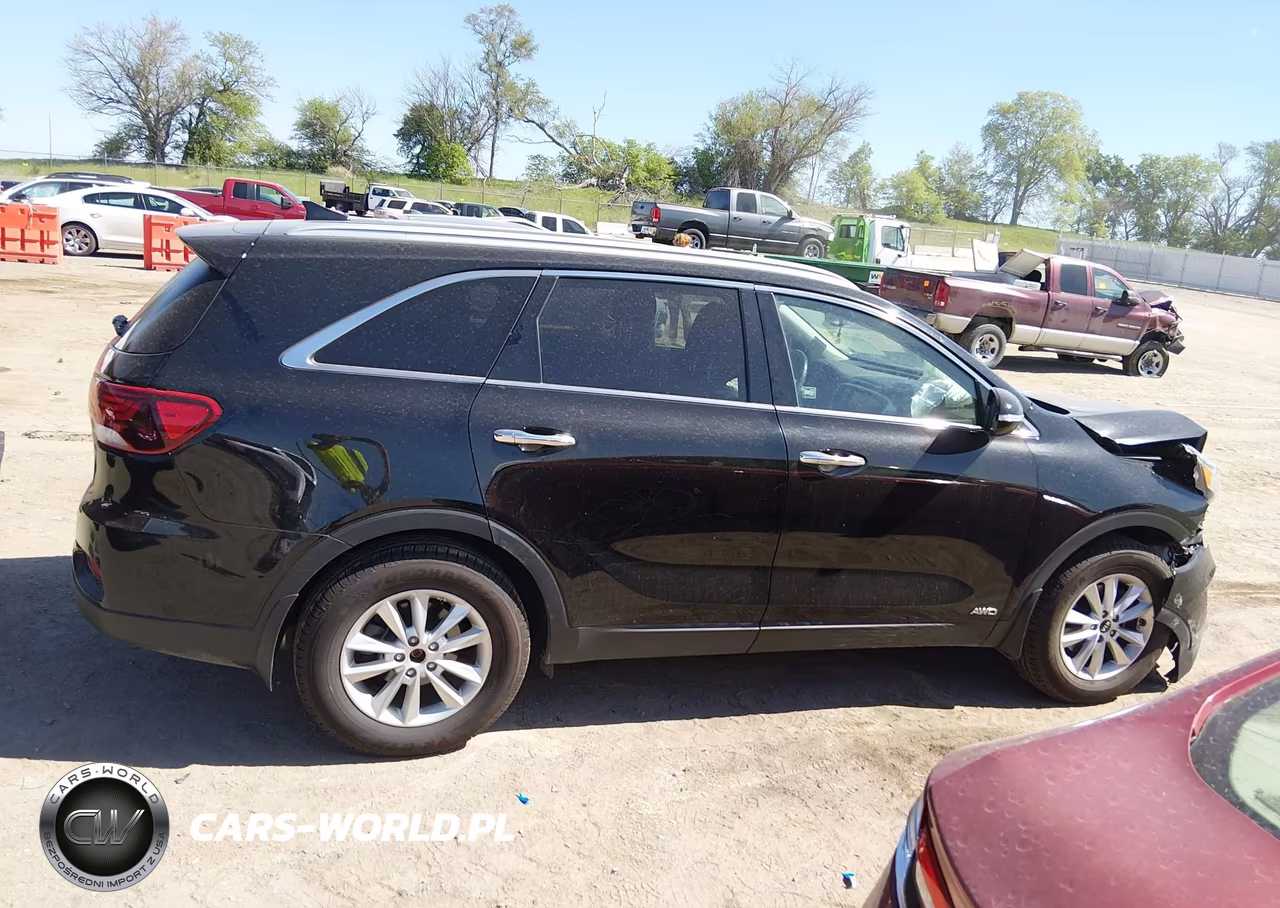 2019 Kia Sorento 2.4L Lx VIN:5XYPGDA3XKG452044 - 13