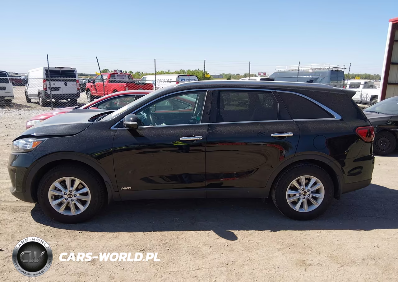 2019 Kia Sorento 2.4L Lx VIN:5XYPGDA3XKG452044 - 14