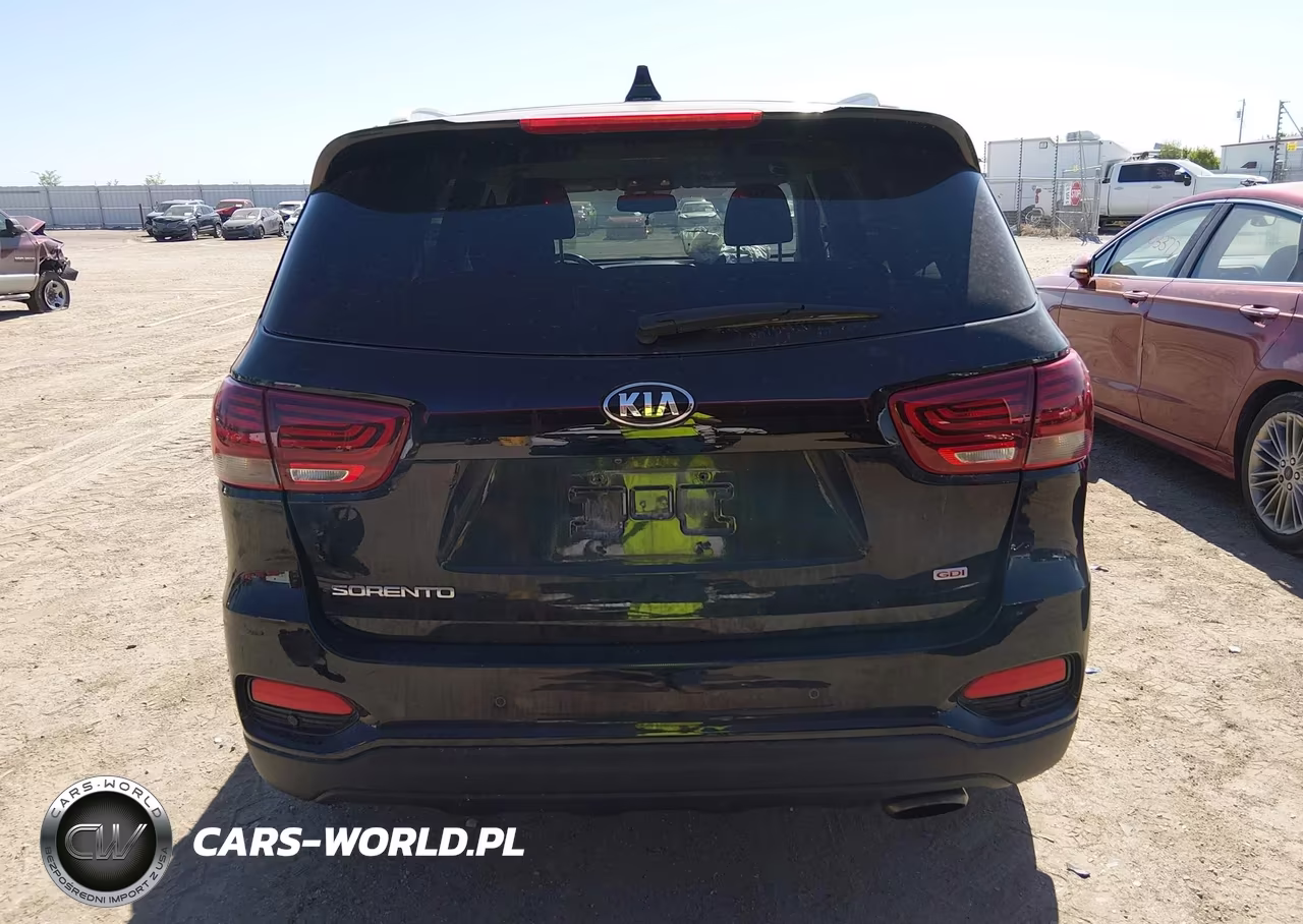 2019 Kia Sorento 2.4L Lx VIN:5XYPGDA3XKG452044 - 16