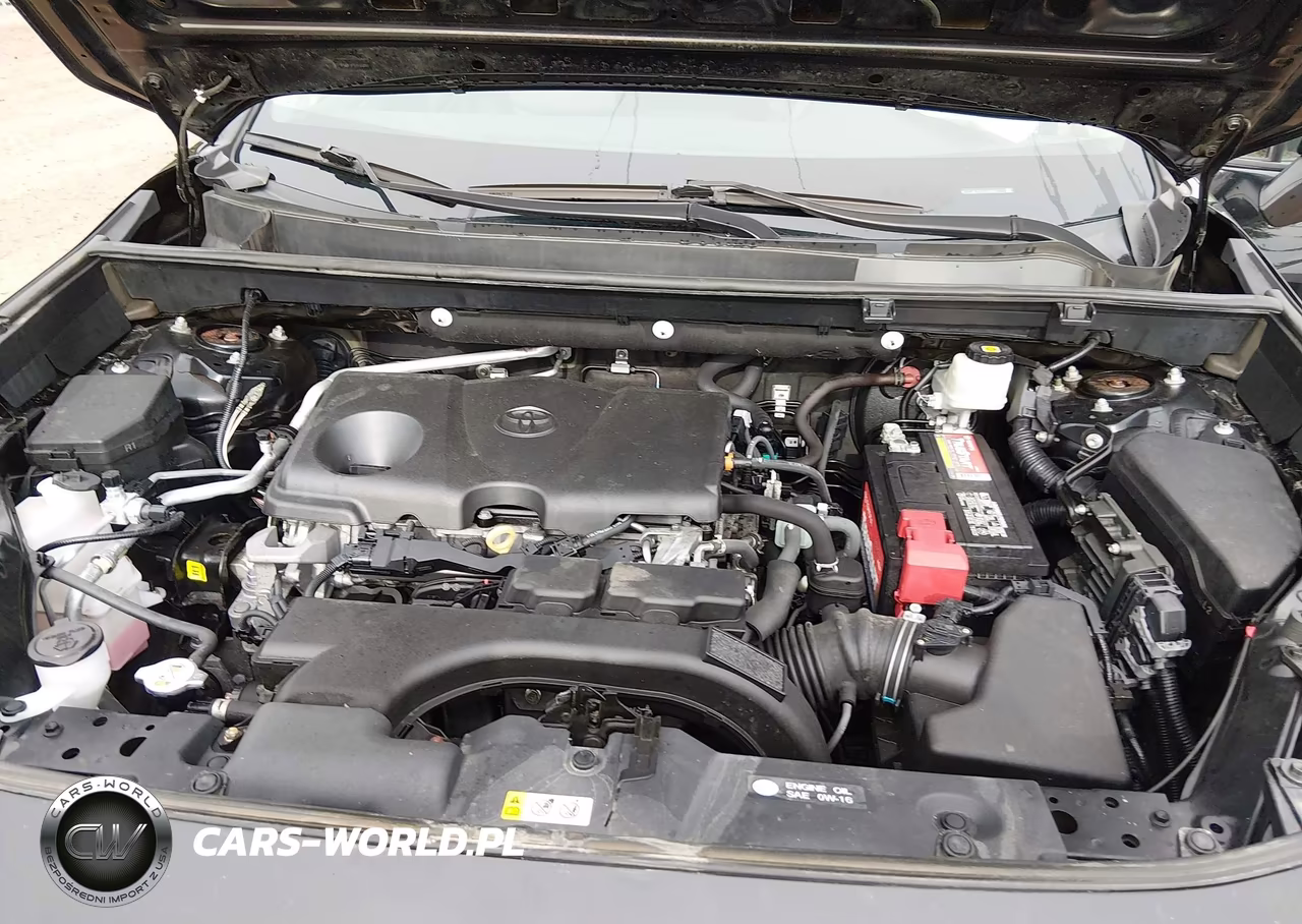 2019 Toyota Rav4 Limited VIN:2T3N1RFV3KW081777 - 10