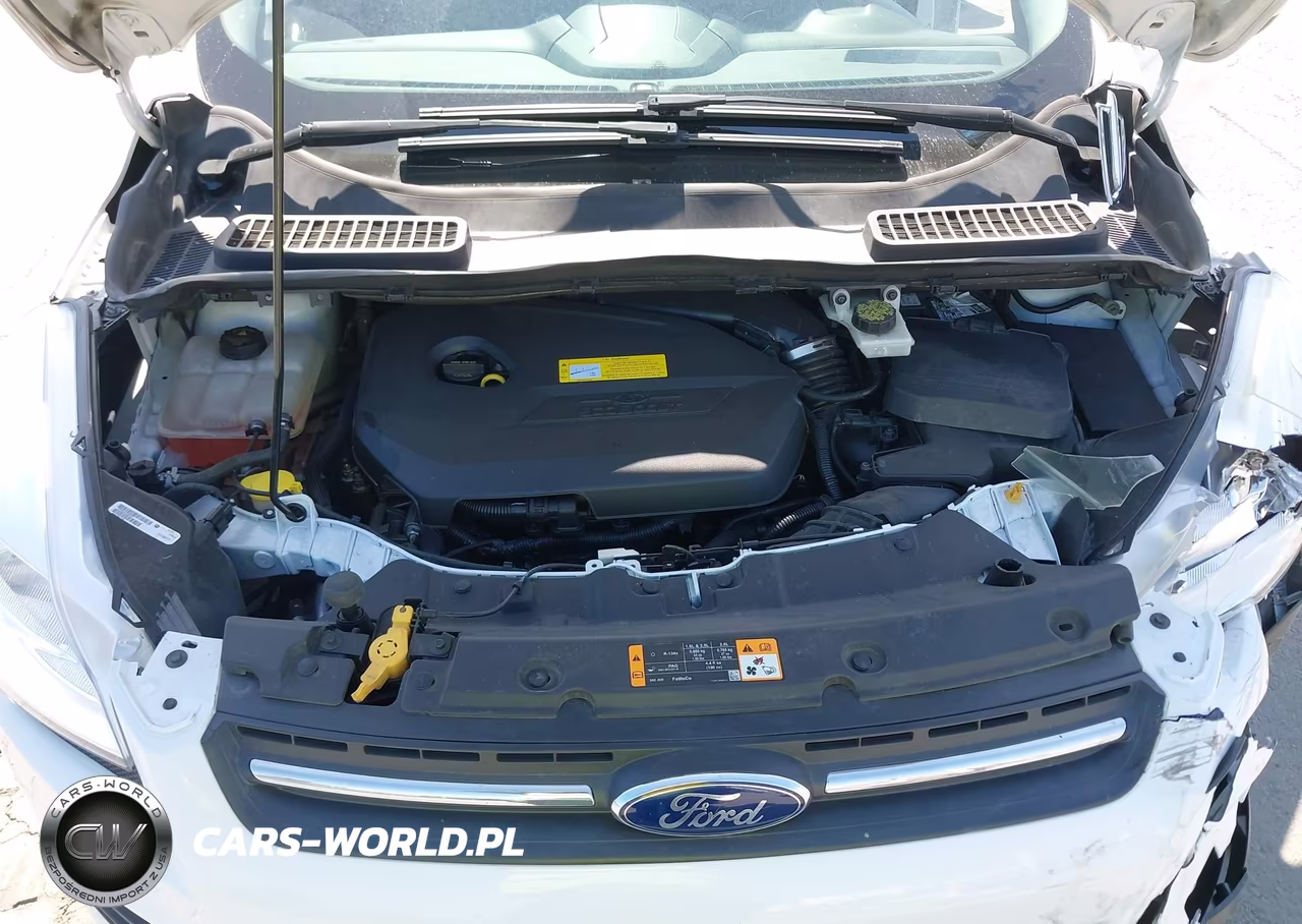 2013 Ford Escape Se VIN:1FMCU0GX1DUC80459 - 10