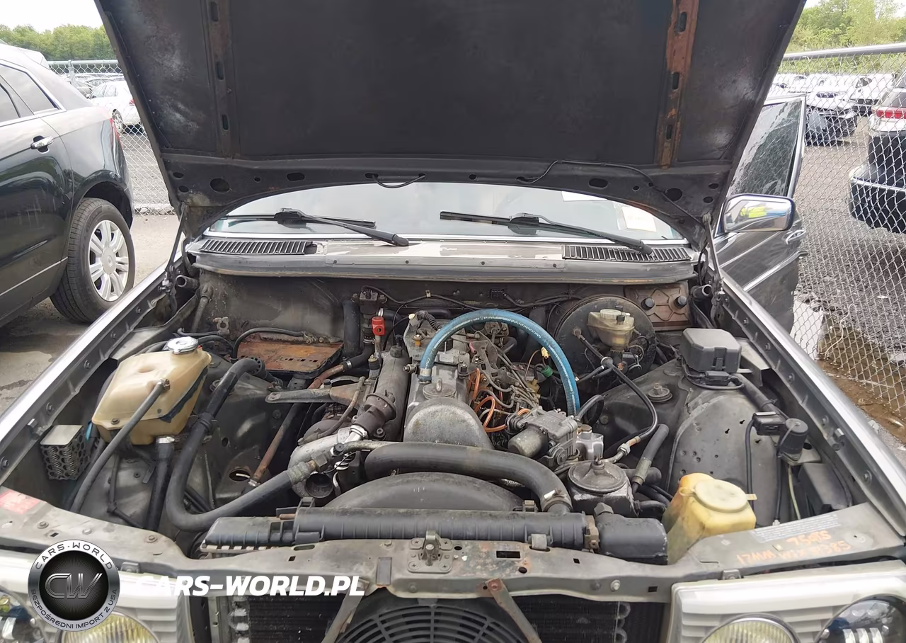 1983 Mercedes-Benz 300 Dt VIN:WDBAB33A1DB024417 - 10