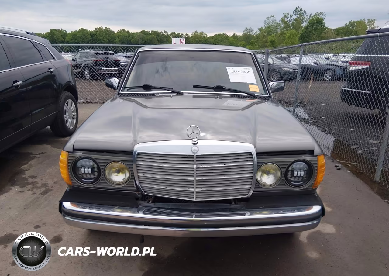 1983 Mercedes-Benz 300 Dt VIN:WDBAB33A1DB024417 - 12
