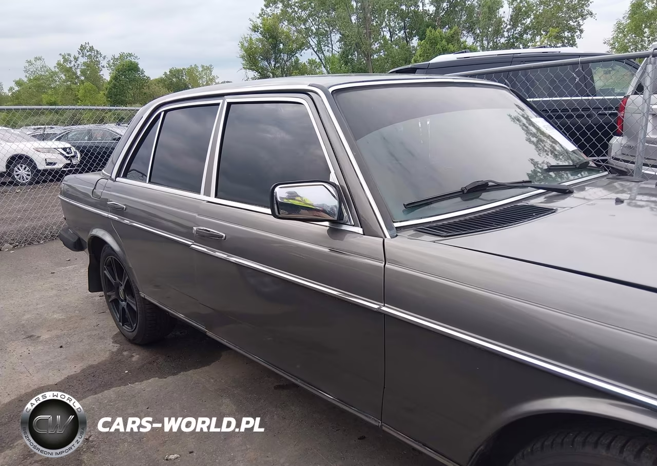 1983 Mercedes-Benz 300 Dt VIN:WDBAB33A1DB024417 - 13