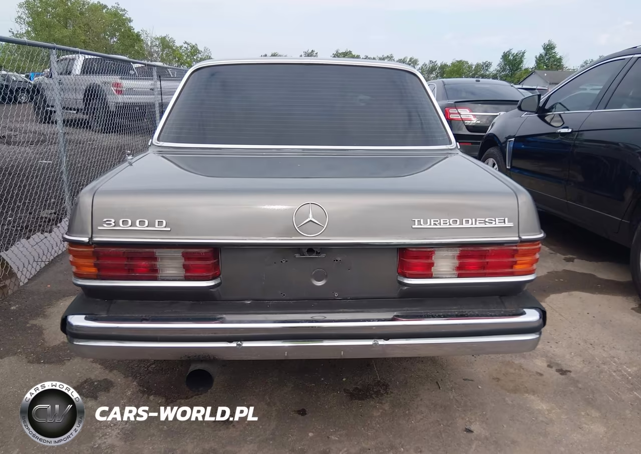 1983 Mercedes-Benz 300 Dt VIN:WDBAB33A1DB024417 - 16