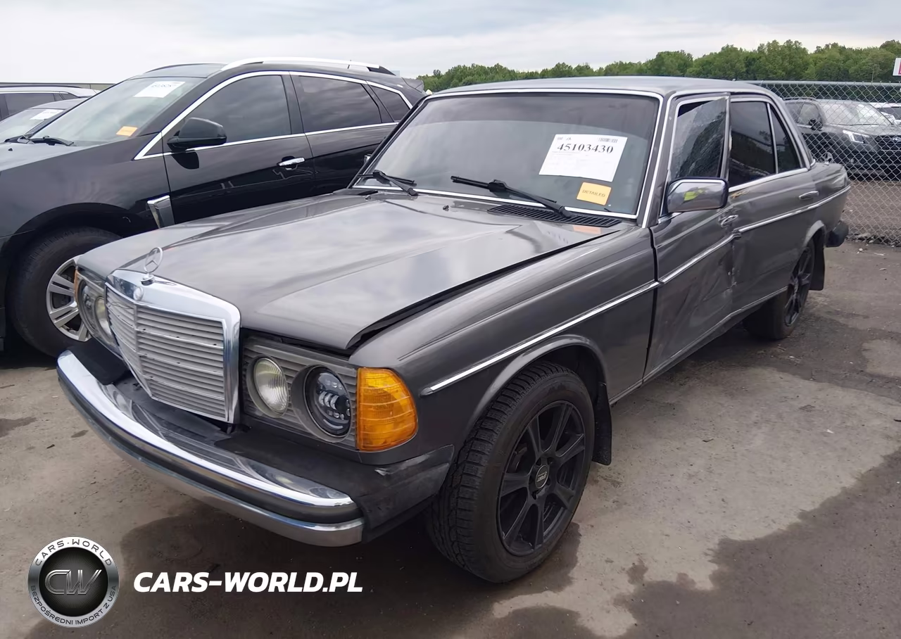 1983 Mercedes-Benz 300 Dt VIN:WDBAB33A1DB024417 - 2