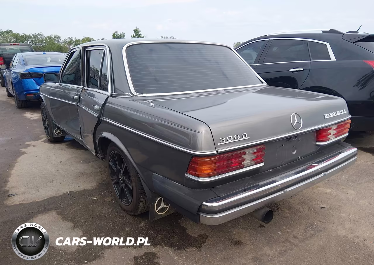 1983 Mercedes-Benz 300 Dt VIN:WDBAB33A1DB024417 - 3