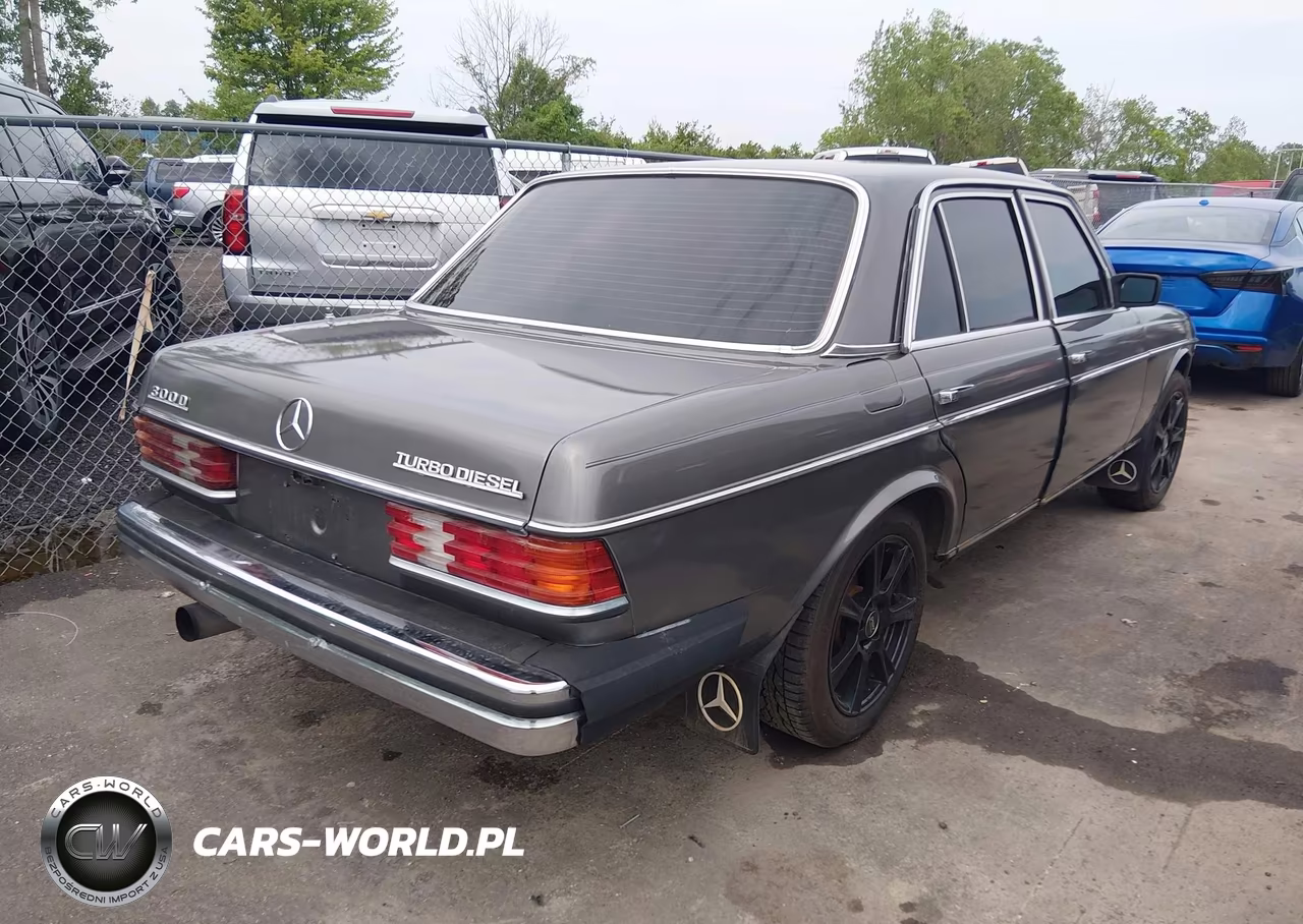 1983 Mercedes-Benz 300 Dt VIN:WDBAB33A1DB024417 - 4