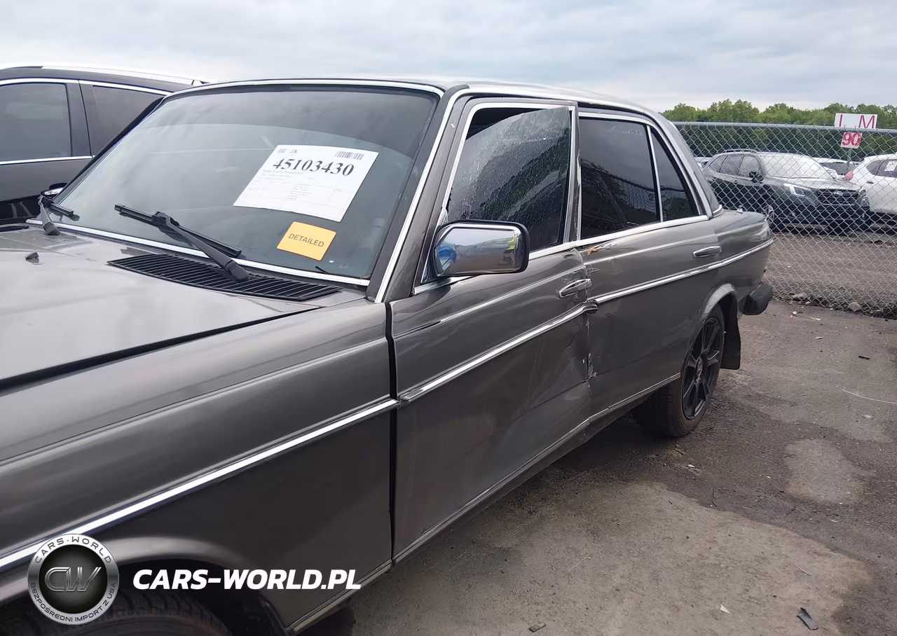 1983 Mercedes-Benz 300 Dt VIN:WDBAB33A1DB024417 - 6