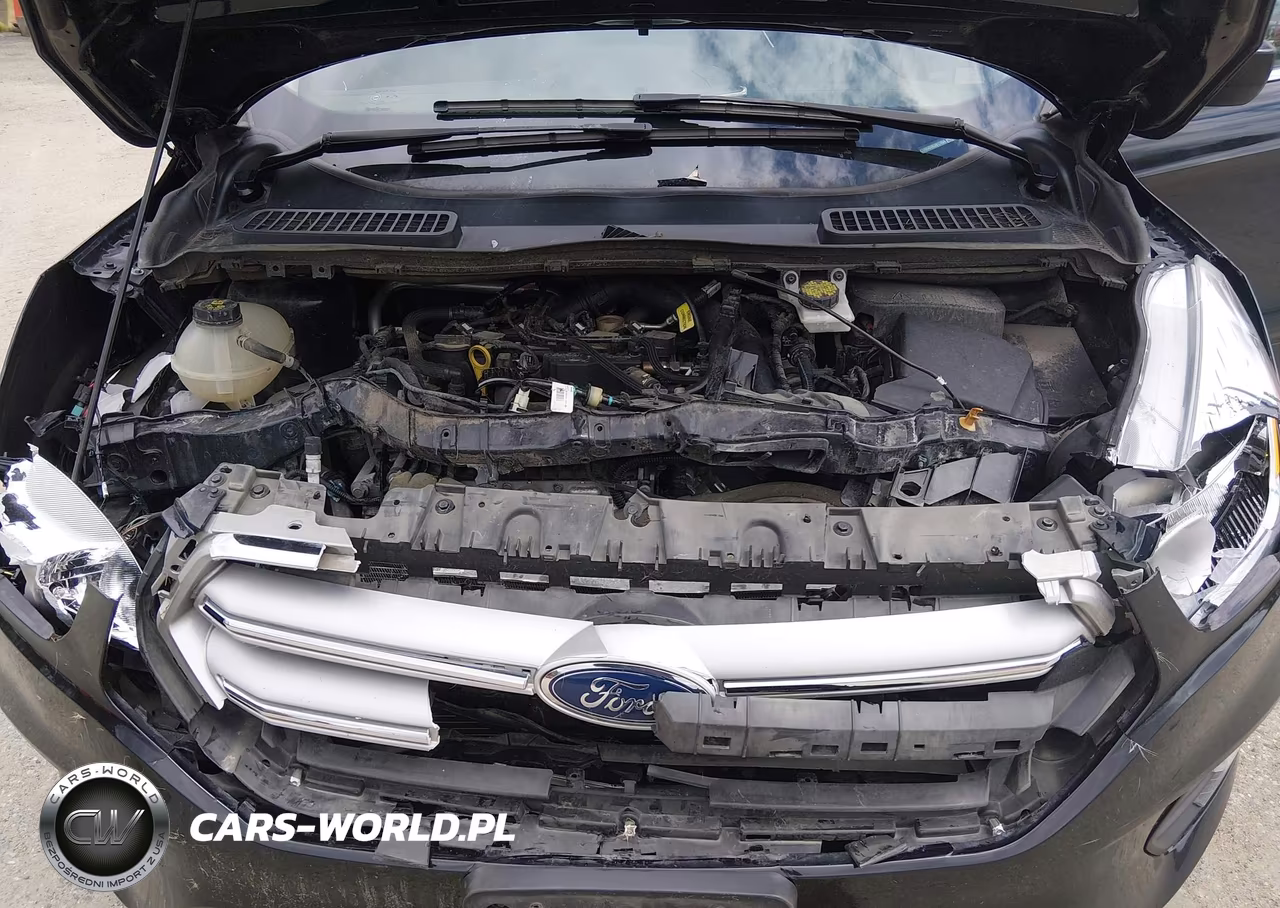 2019 Ford Escape Se VIN:1FMCU9GD2KUB17858 - 10