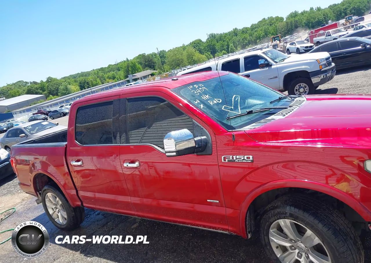 2016 Ford F-150 Platinum VIN:1FTEW1EG9GFA53903 - 14