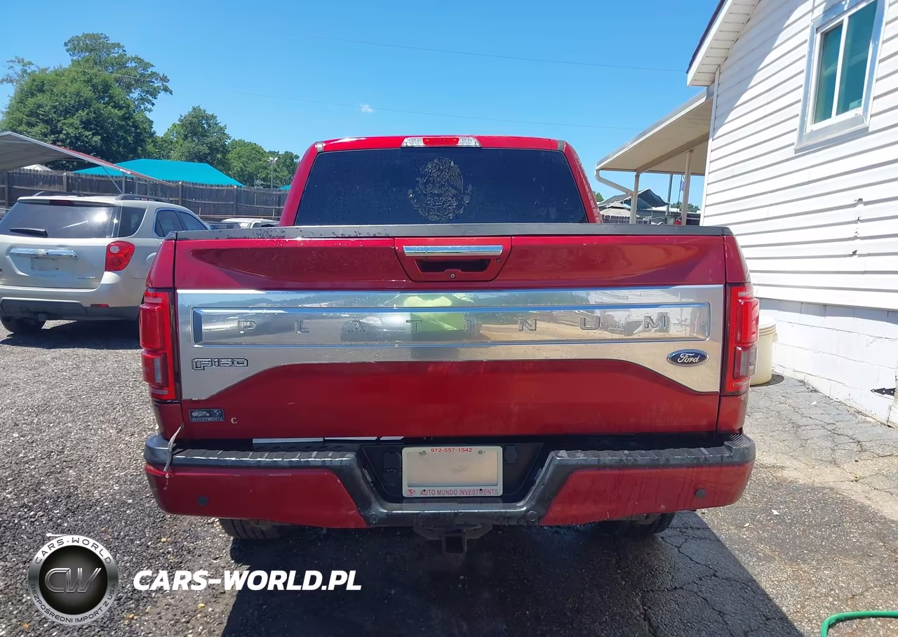 2016 Ford F-150 Platinum VIN:1FTEW1EG9GFA53903 - 17