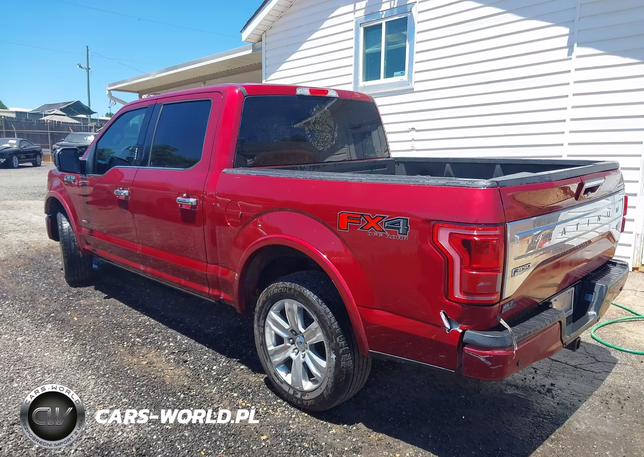 2016 Ford F-150 Platinum VIN:1FTEW1EG9GFA53903 - 3