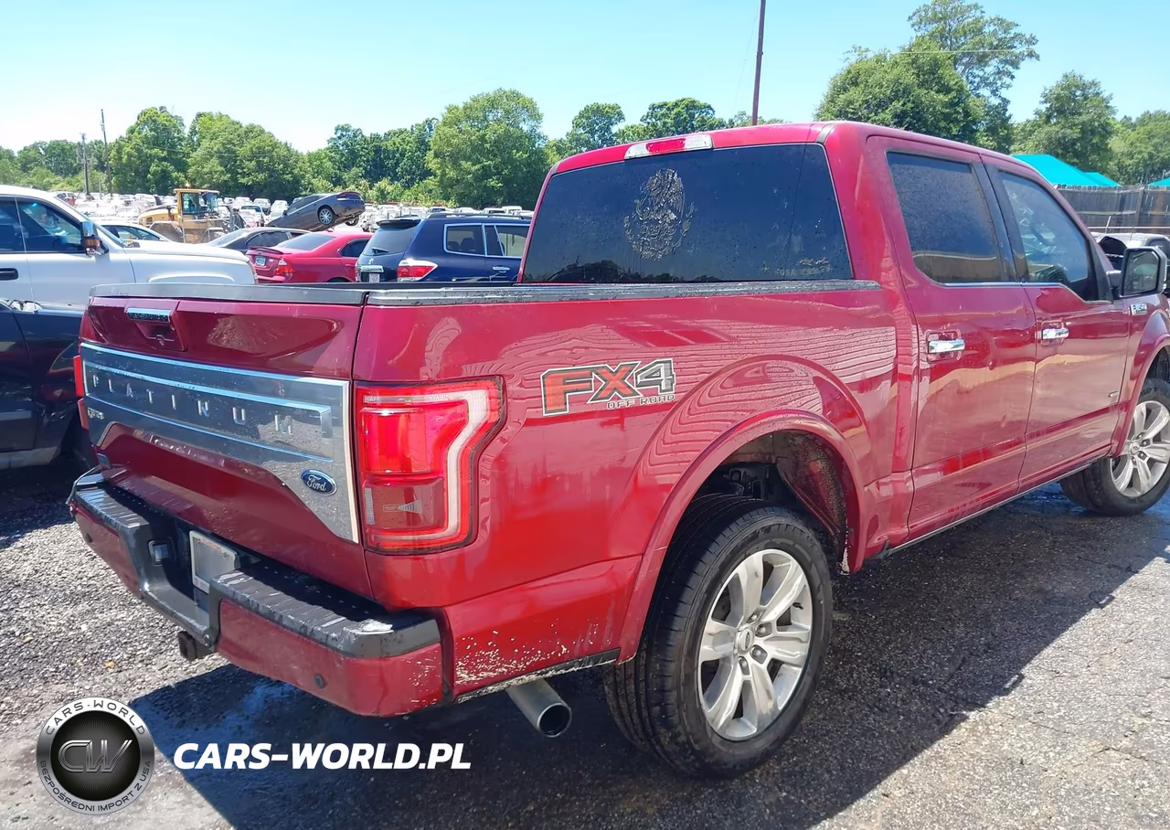 2016 Ford F-150 Platinum VIN:1FTEW1EG9GFA53903 - 4