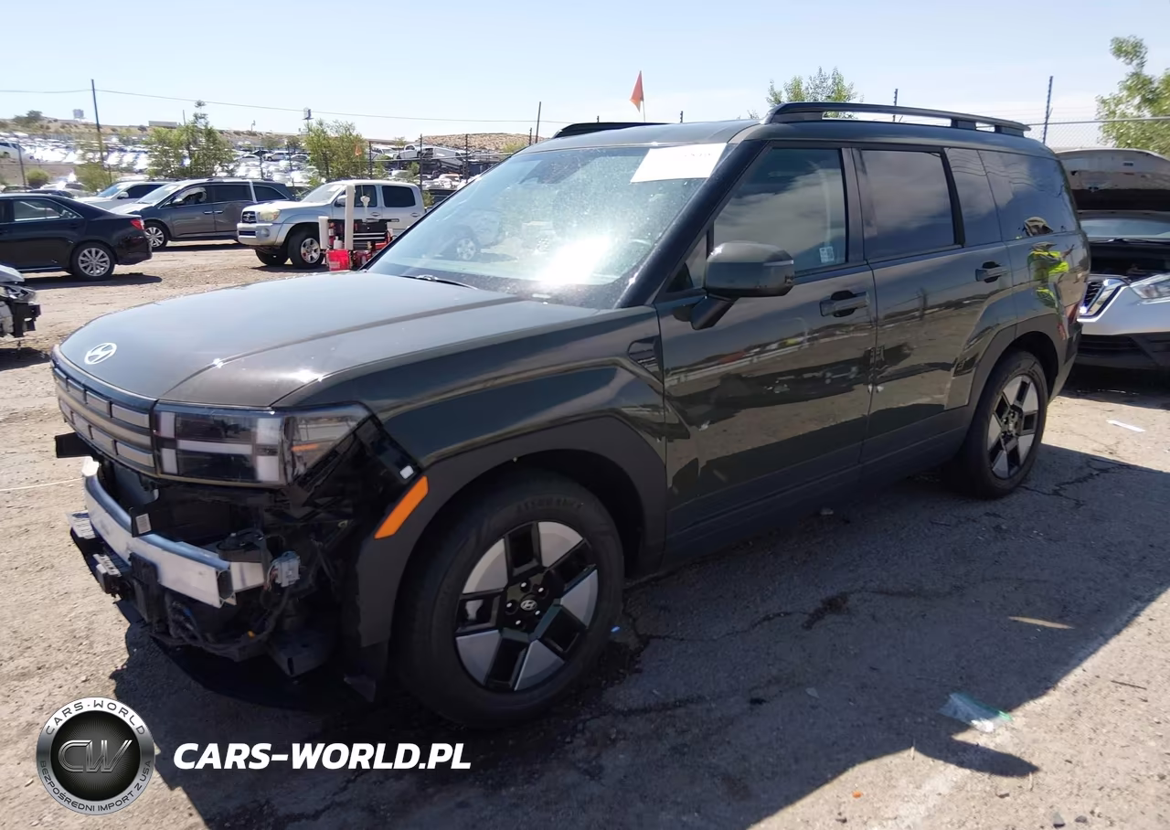 2024 Hyundai Santa Fe Hybrid Sel VIN:5NMP2DG14RH005584 - 2