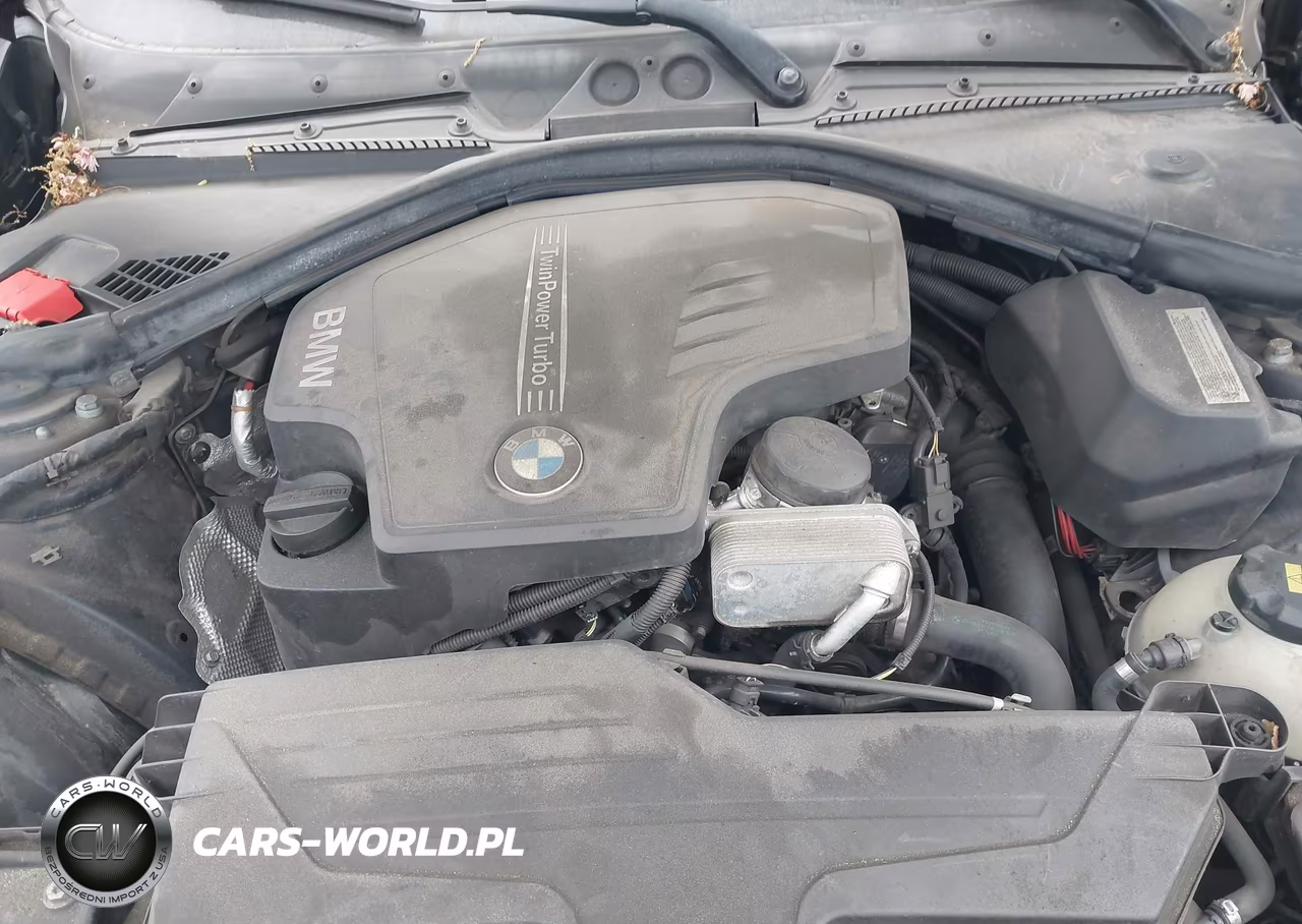 2014 BMW 228I VIN:WBA1F5C5XEV255866 - 10