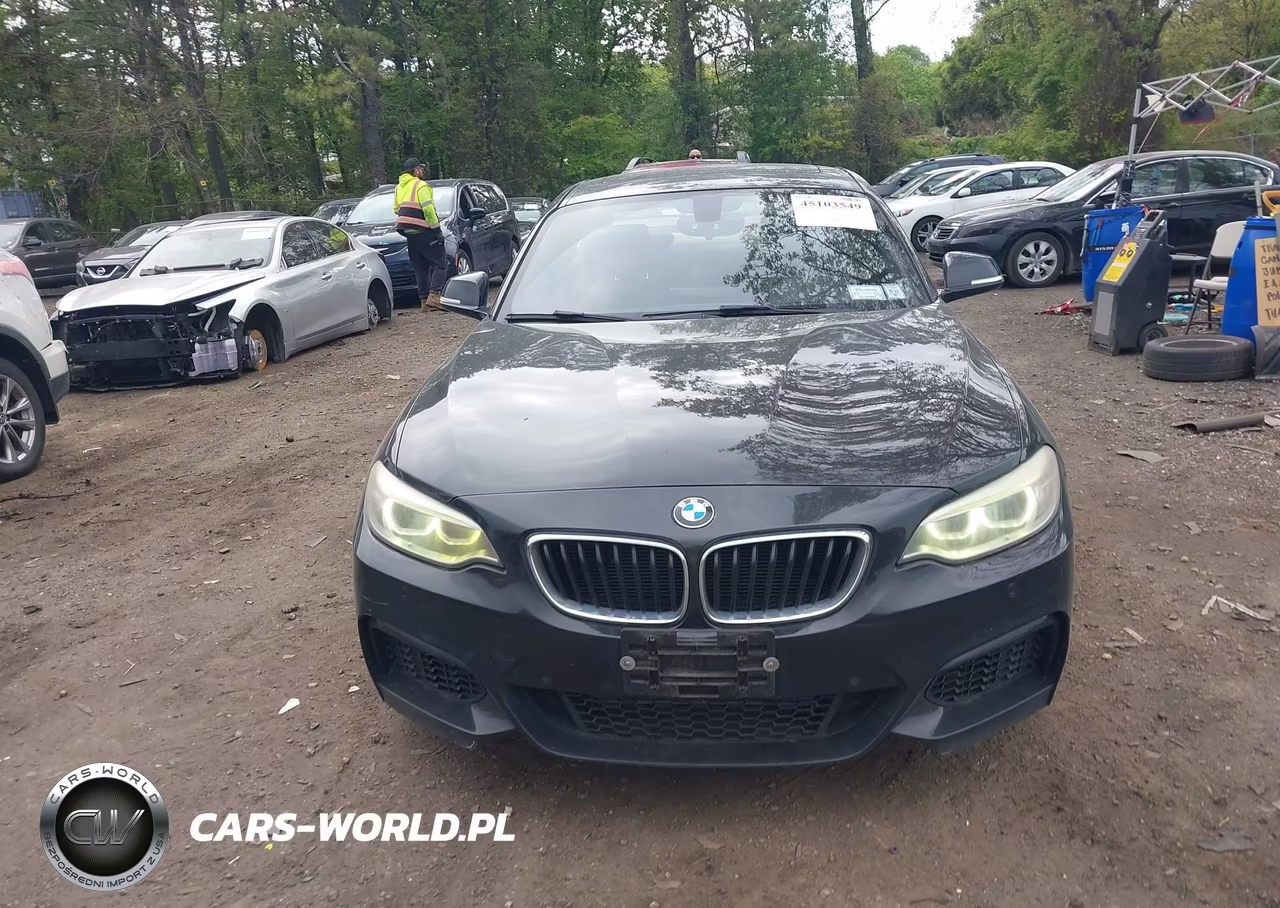 2014 BMW 228I VIN:WBA1F5C5XEV255866 - 12