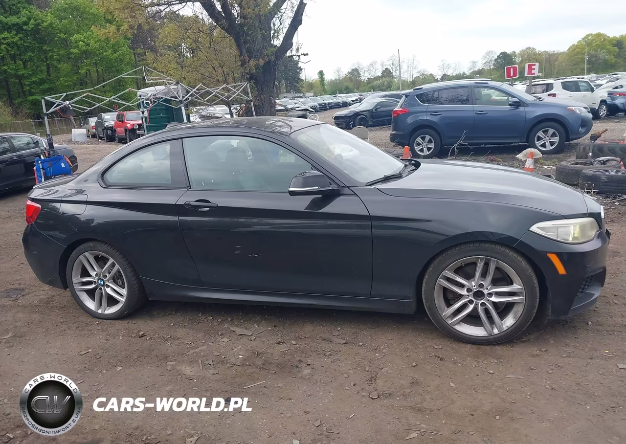2014 BMW 228I VIN:WBA1F5C5XEV255866 - 13