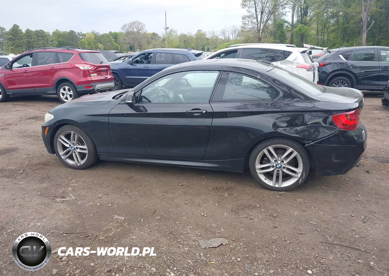 2014 BMW 228I VIN:WBA1F5C5XEV255866 - 14