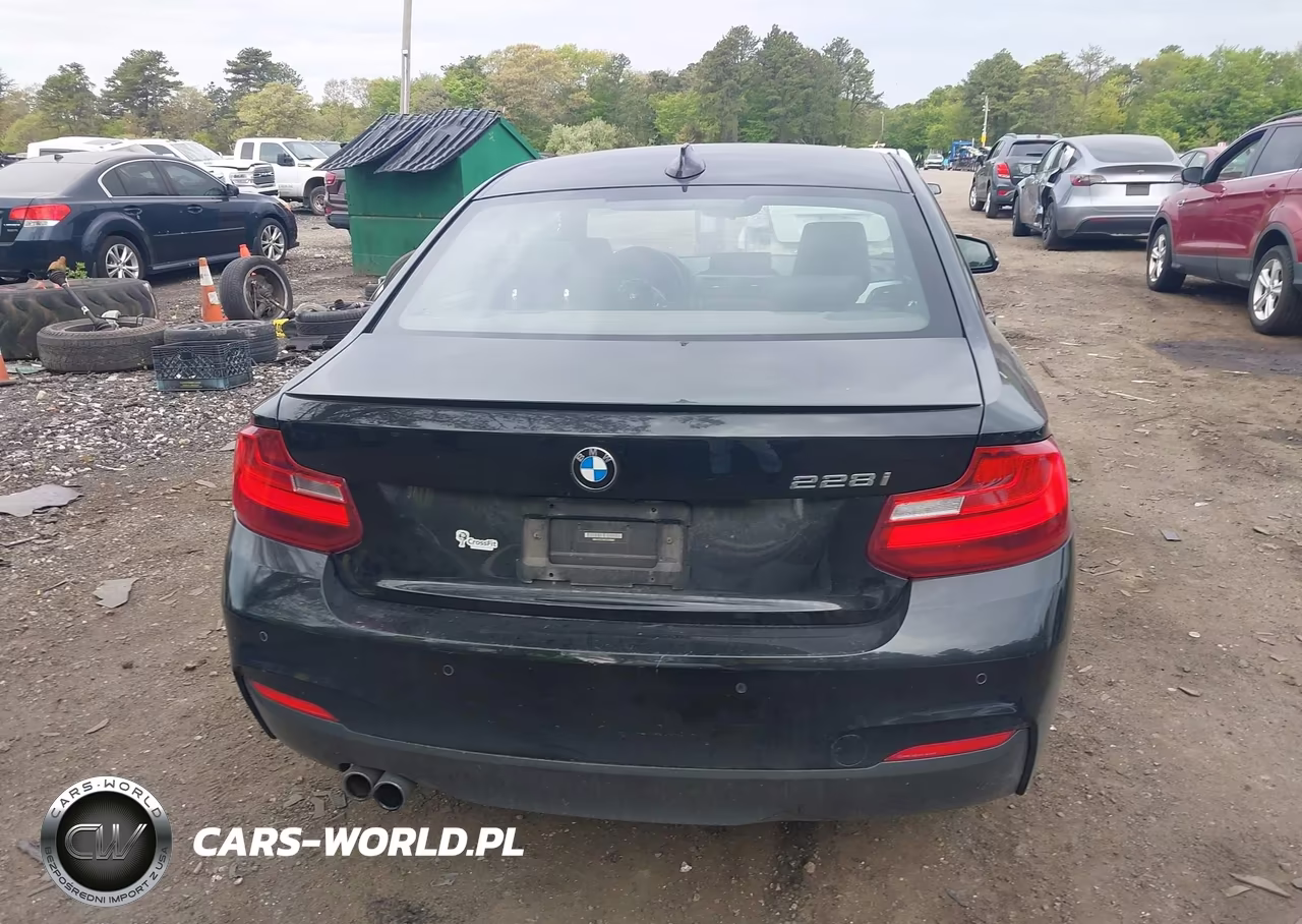 2014 BMW 228I VIN:WBA1F5C5XEV255866 - 16