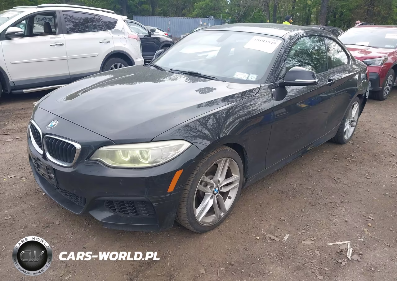 2014 BMW 228I VIN:WBA1F5C5XEV255866 - 2