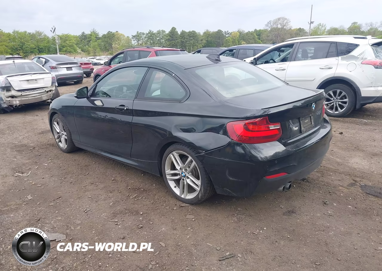 2014 BMW 228I VIN:WBA1F5C5XEV255866 - 3