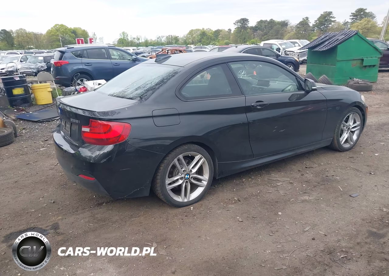 2014 BMW 228I VIN:WBA1F5C5XEV255866 - 4