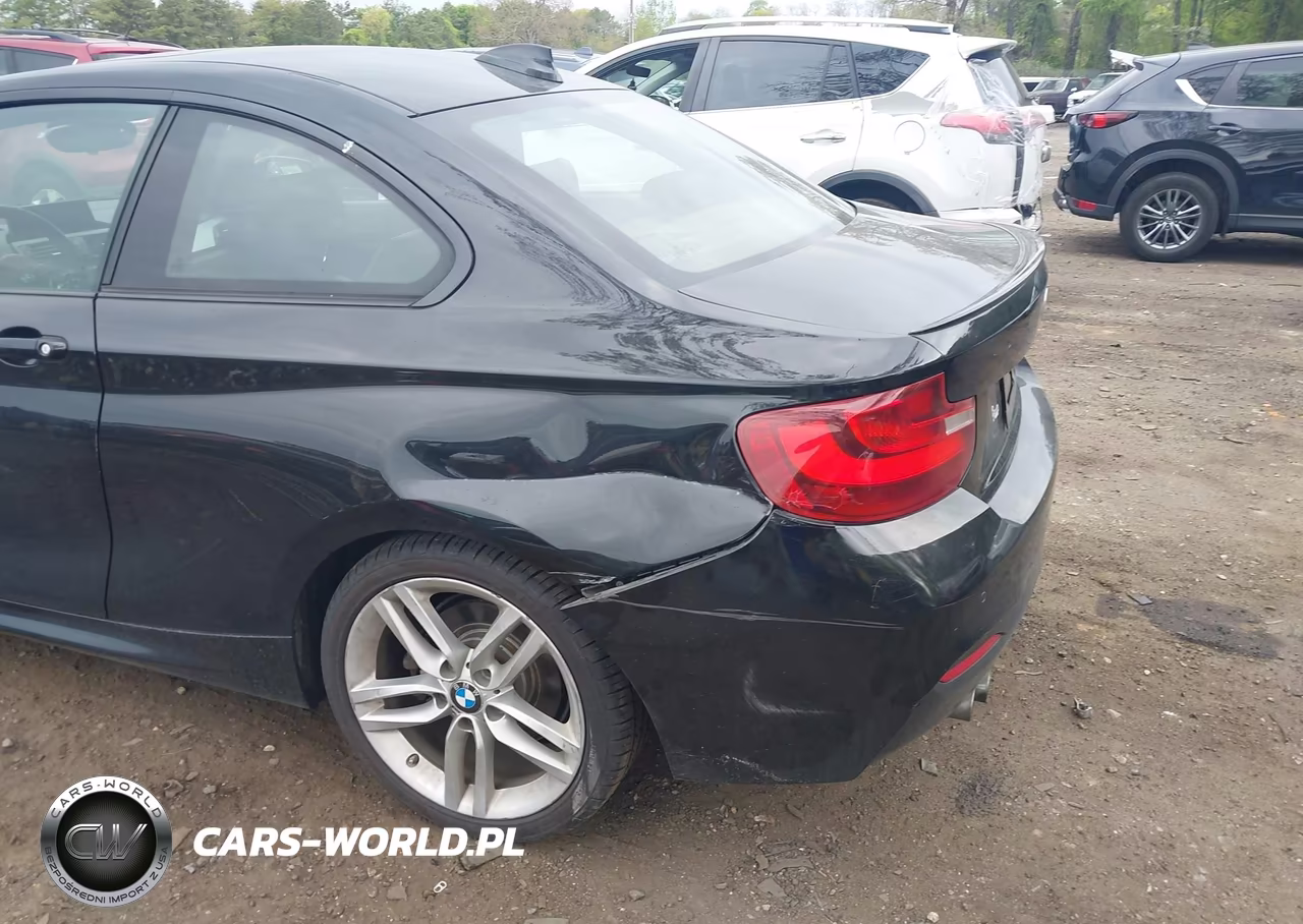 2014 BMW 228I VIN:WBA1F5C5XEV255866 - 6