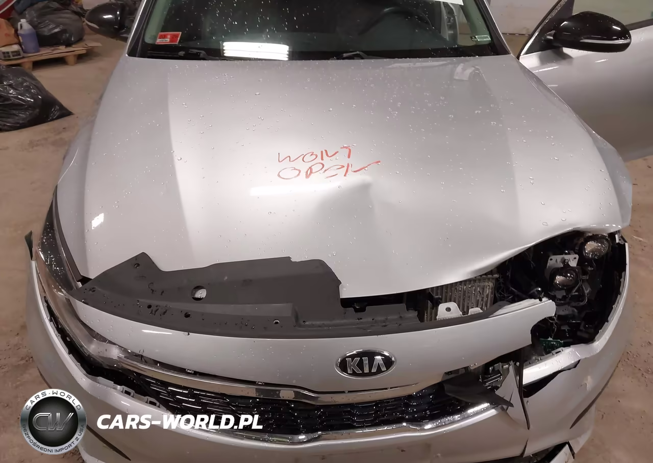 2019 Kia Optima Sx Turbo VIN:5XXGW4L23KG333988 - 10