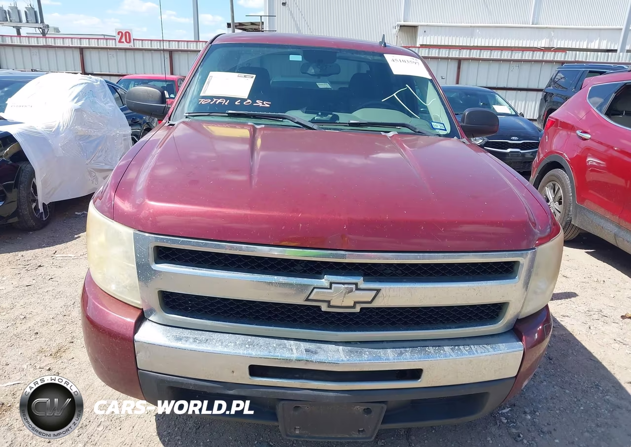 2009 Chevrolet Silverado 1500 Ls VIN:3GCEC13C19G179859 - 12