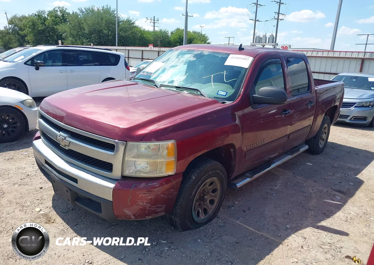 2009 Chevrolet Silverado 1500 Ls VIN:3GCEC13C19G179859 - 2